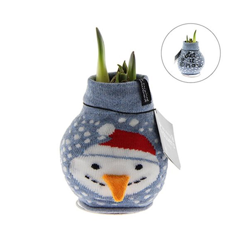 Wax Amaryllis Fashionz Xmas Sneeuwpop