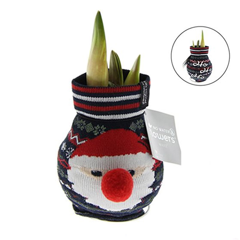 Wax Amaryllis Fashionz Xmas Kerstman