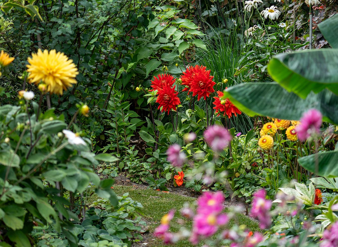 Garden trend 2025 Unique Utopia